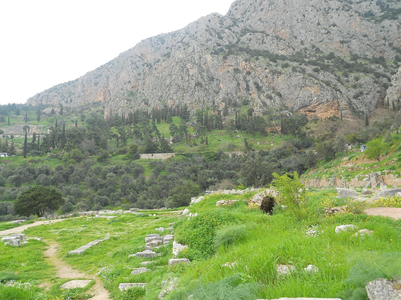 Palaestra at Delphi